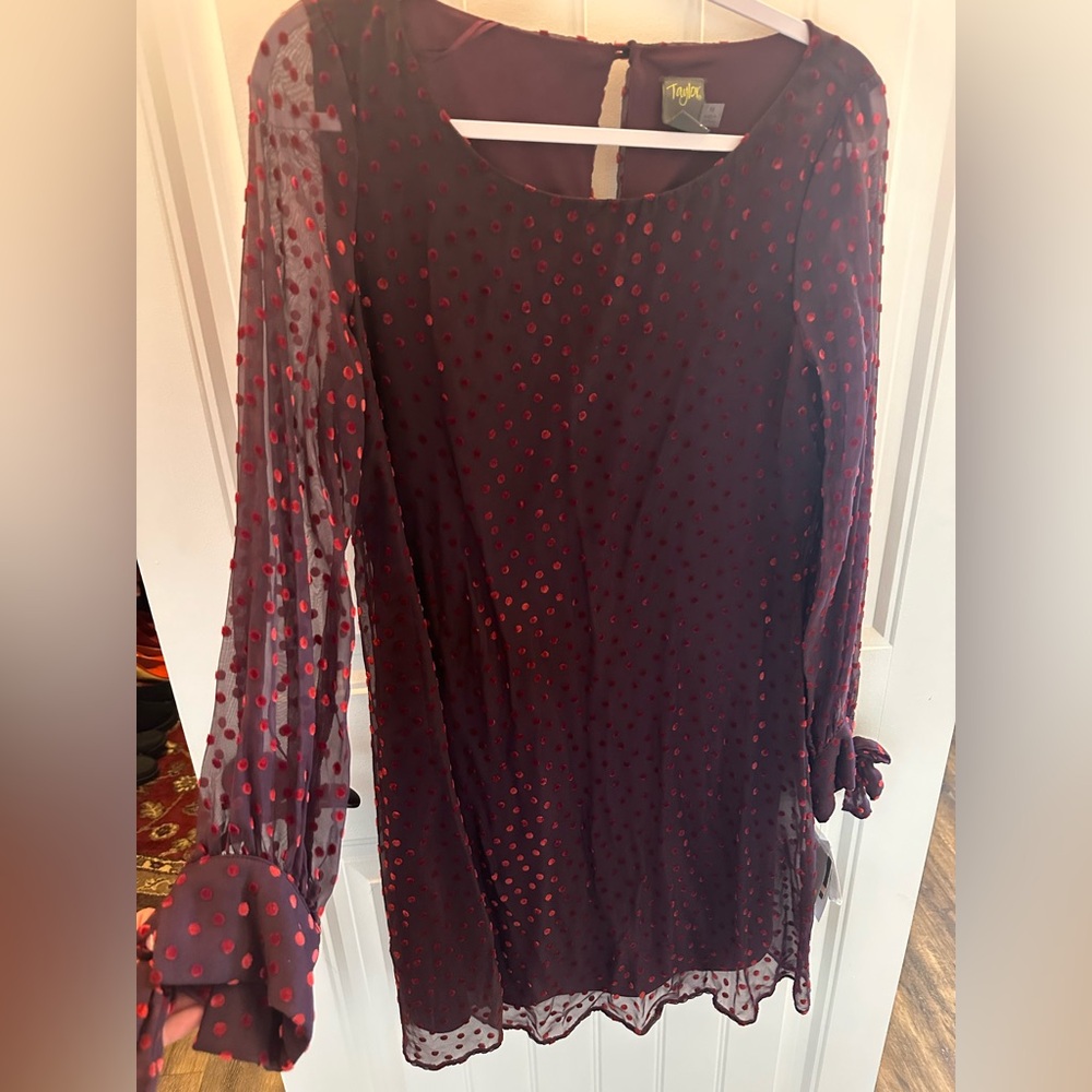 Sheer Burgundy Dress with Polka Dots